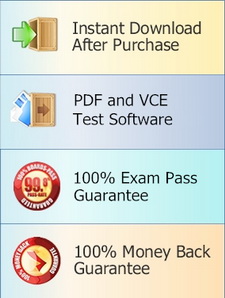 Reliable PassLeader New Exam Brain Dumps